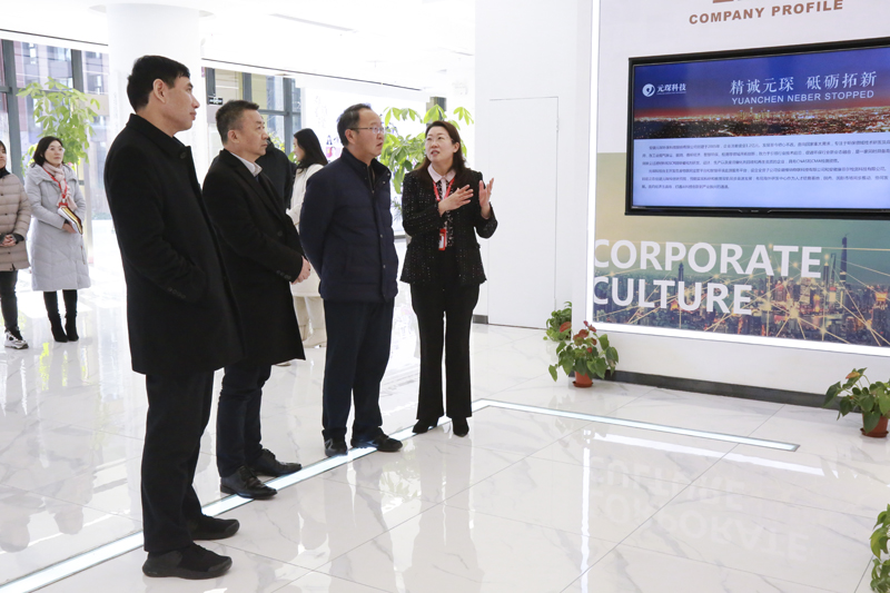 合肥市新站高新区王主任一行莅临我司参观指导