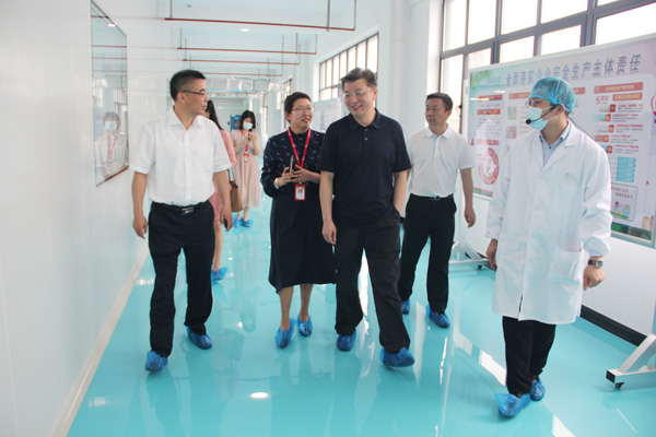 合肥市新站高新区党工委书记、管委会主任路军一行莅临304永利集团调研