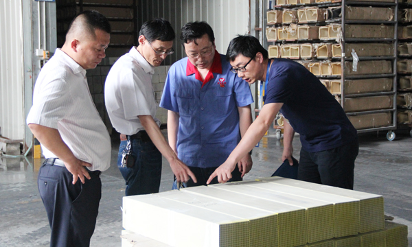 巢湖皖能集团来我司参观考察